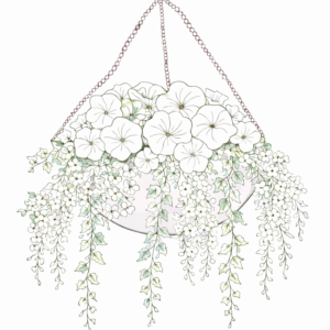 Hanging Basket